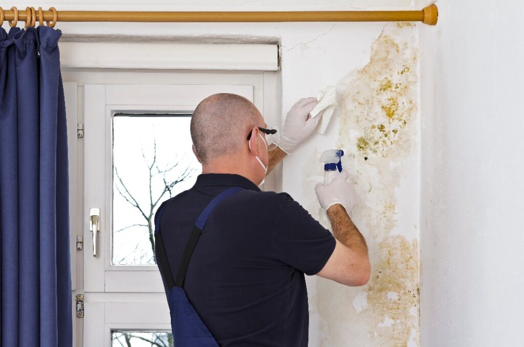 Mann entfernt Schimmel oder Stockflecken hinter Vorhängen an einer Außenwand eines alten Hauses mit Antischimmelspray und Tüchern.