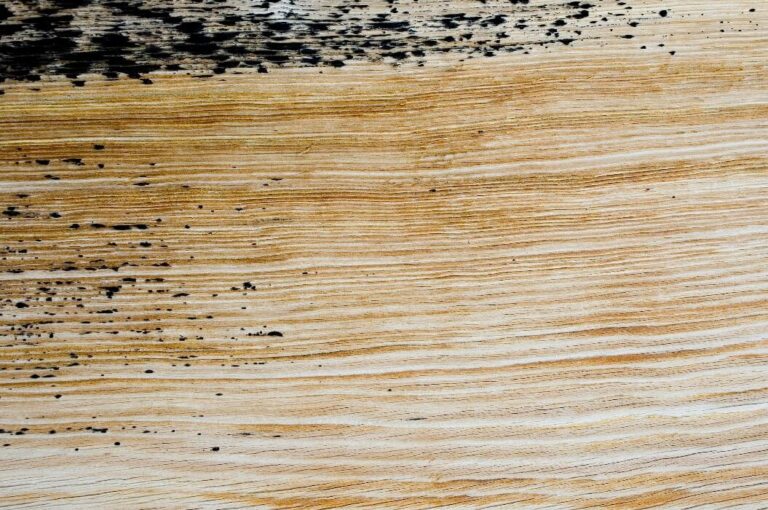 Helle Holzoberfläche mit natürlicher Maserung und schwarzen Farbspritzern oben links